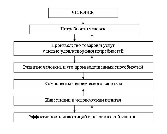 Курсовая Работа На Тему Инвестиции В Человеческий Капитал