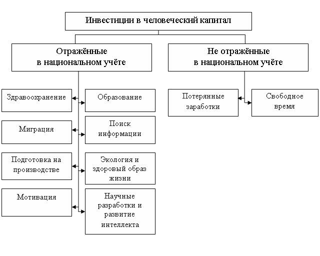 Курсовая Работа На Тему Инвестиции В Человеческий Капитал