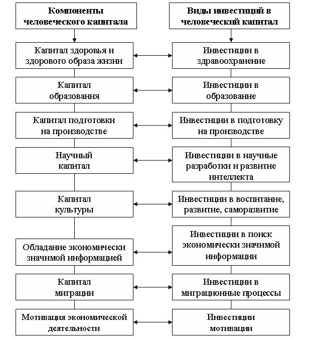 Курсовая Работа На Тему Инвестиции В Человеческий Капитал