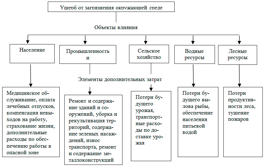 Устойчивость Вирусов В Окружающей Среде Бесплатно Реферат