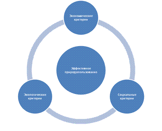 Реферат: Эффективность использования природных ресурсов в России